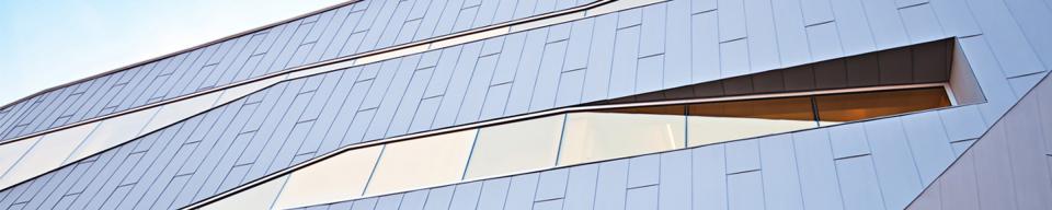 Sleek panel cladding